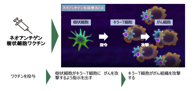 ネオアンチゲン画像