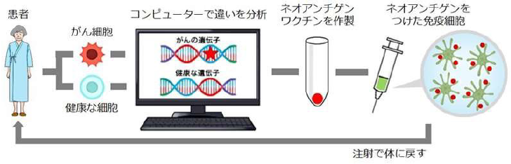 ネオアンチゲン画像